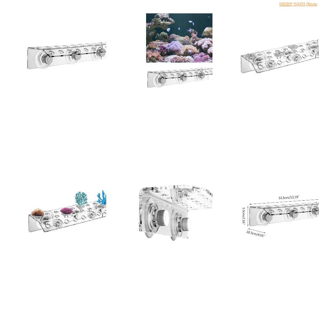 Reef Aquarium - K1AE Acryl Koraal Frag Rack voor