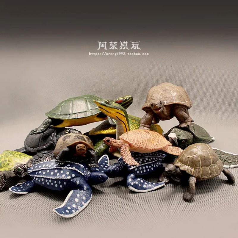 Leatherback Rood oren Schildpa - Ocean Aquarium recensie en prijs