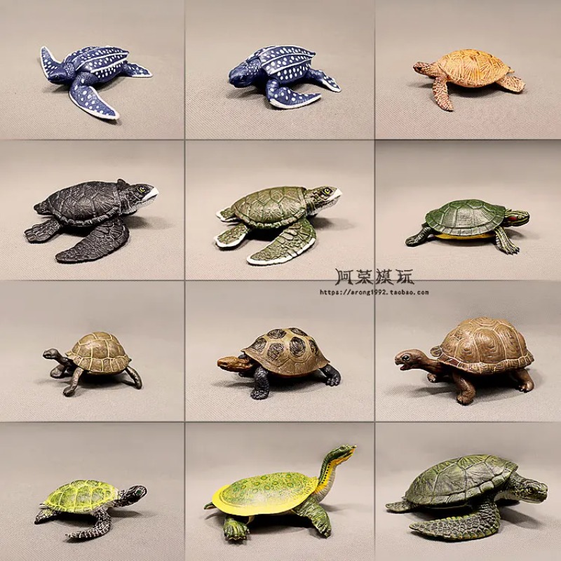 Leatherback Rood oren Schildpa - Ocean Aquarium recensie en prijs