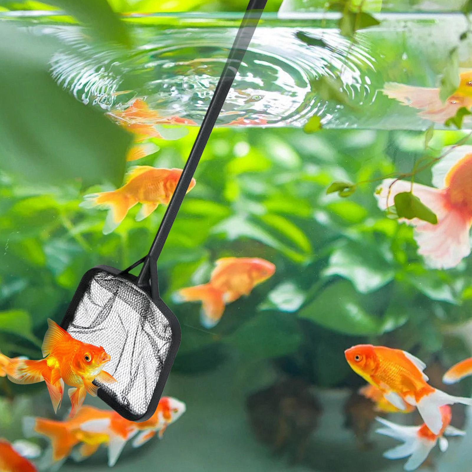Zwembadnetten voor het reinige - Marine Aquarium recensie en prijs