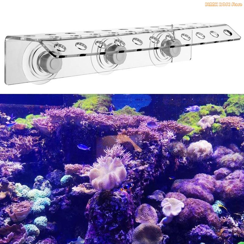 K1AE Acryl Koraal Frag Rack vo - Reef Aquarium recensie en prijs