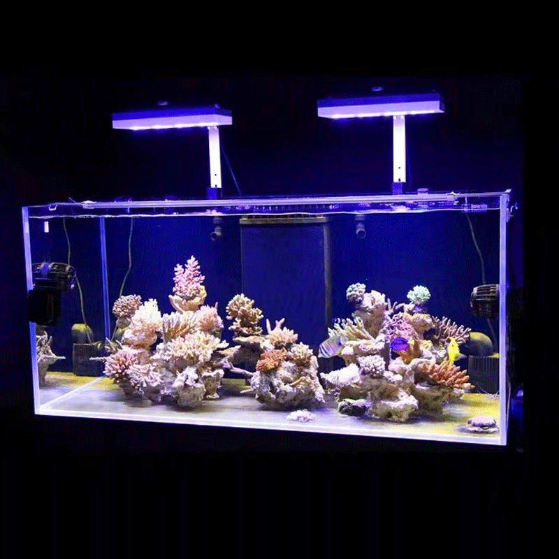 Aqua Lighting AI Hydra 32HD/64 - Marine Coral recensie en prijs