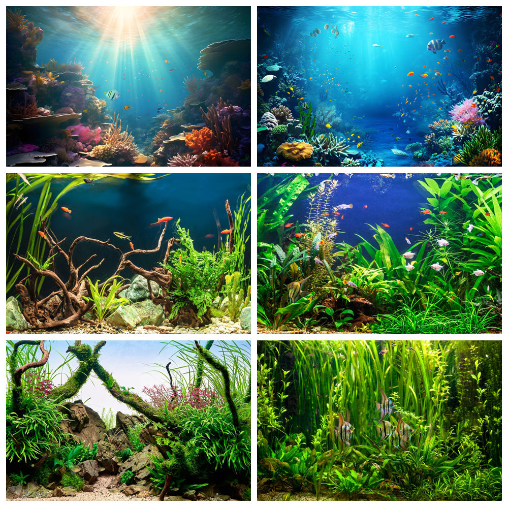 Onder Zee Zeebodem Wereld Foto - Aquarium Marine World recensie en prijs