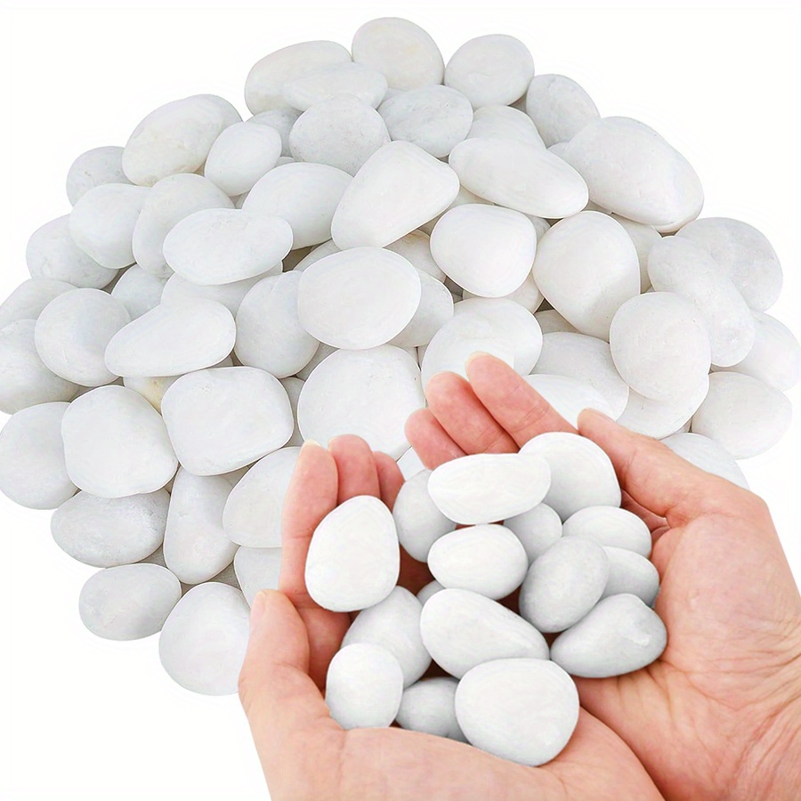 200/400g Witte Hooggepolijste  - Marine Fish Tank recensie en prijs