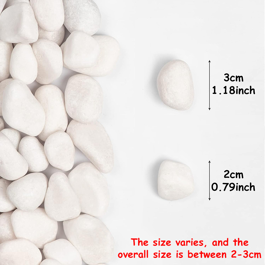200/400g Witte Hooggepolijste  - Marine Fish Tank recensie en prijs
