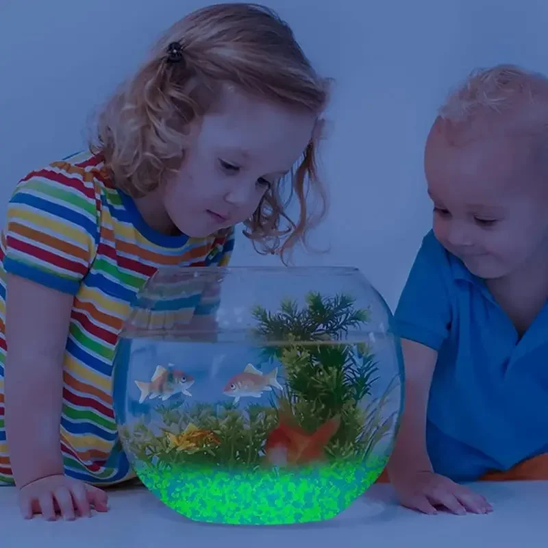 1000 stks 3-5mm Lichtgevende Z - Ocean Aquarium recensie en prijs