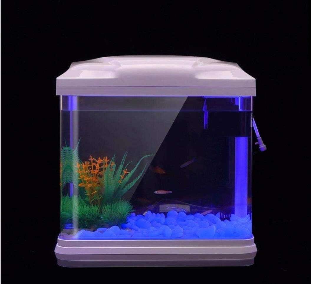 Aquarium Rotsen Glow Blue Kiez - Ocean Aquarium recensie en prijs