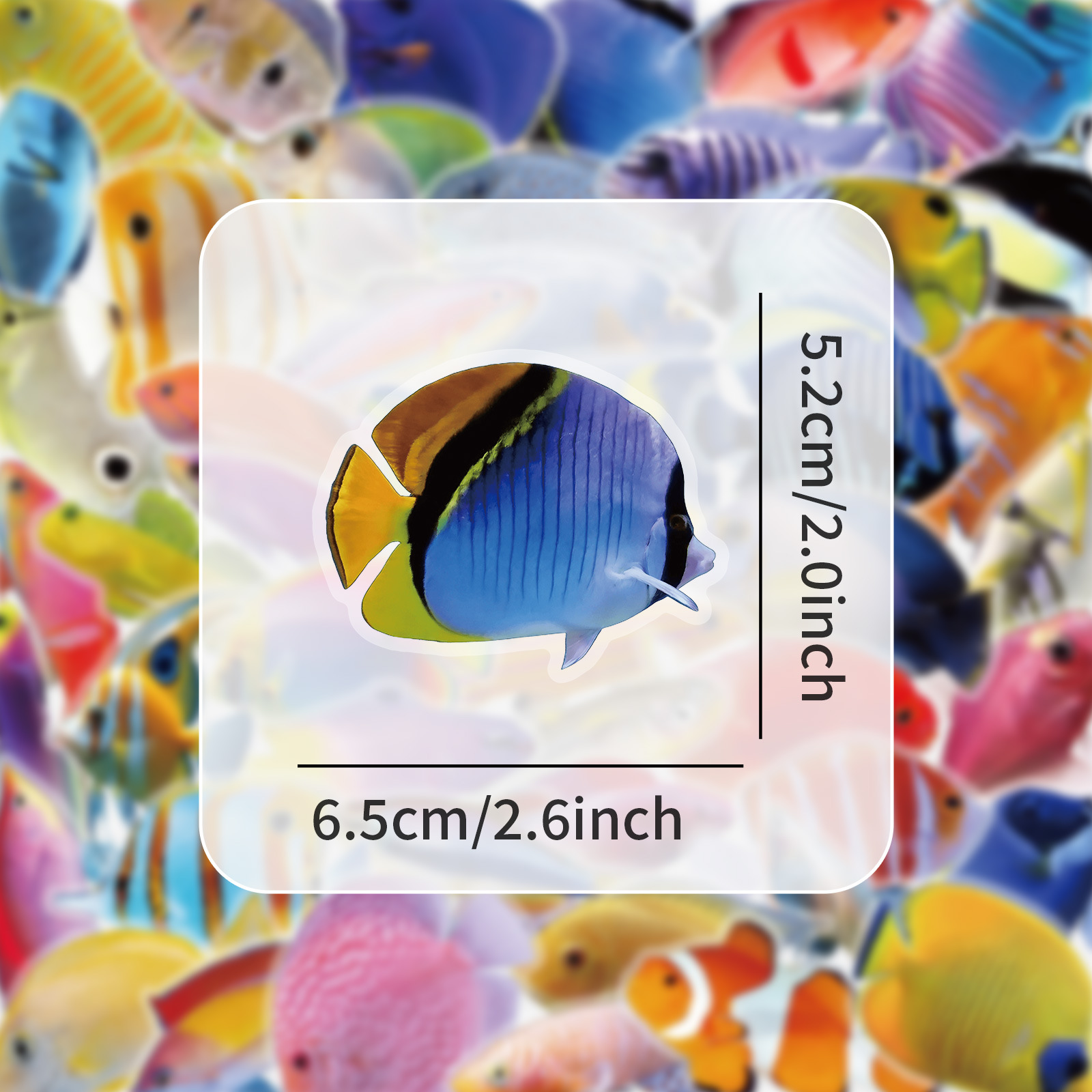 50-100PCS Transparante PET-kor - Marine Coral recensie en prijs