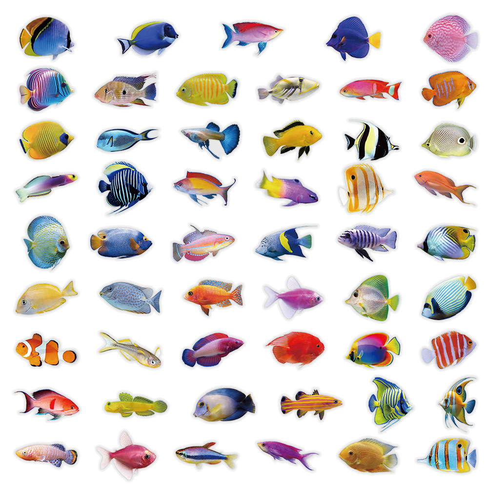 50-100PCS Transparante PET-kor - Marine Coral recensie en prijs