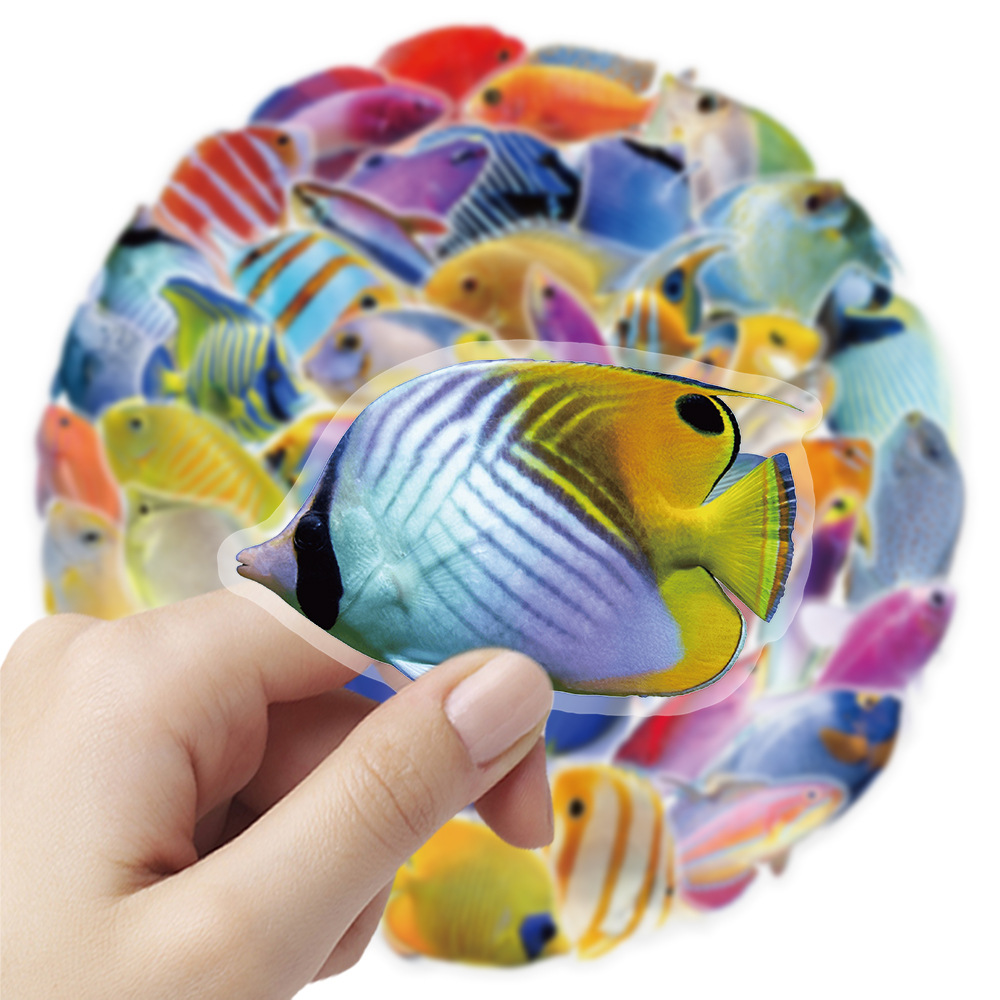 50-100PCS Transparante PET-kor - Marine Coral recensie en prijs