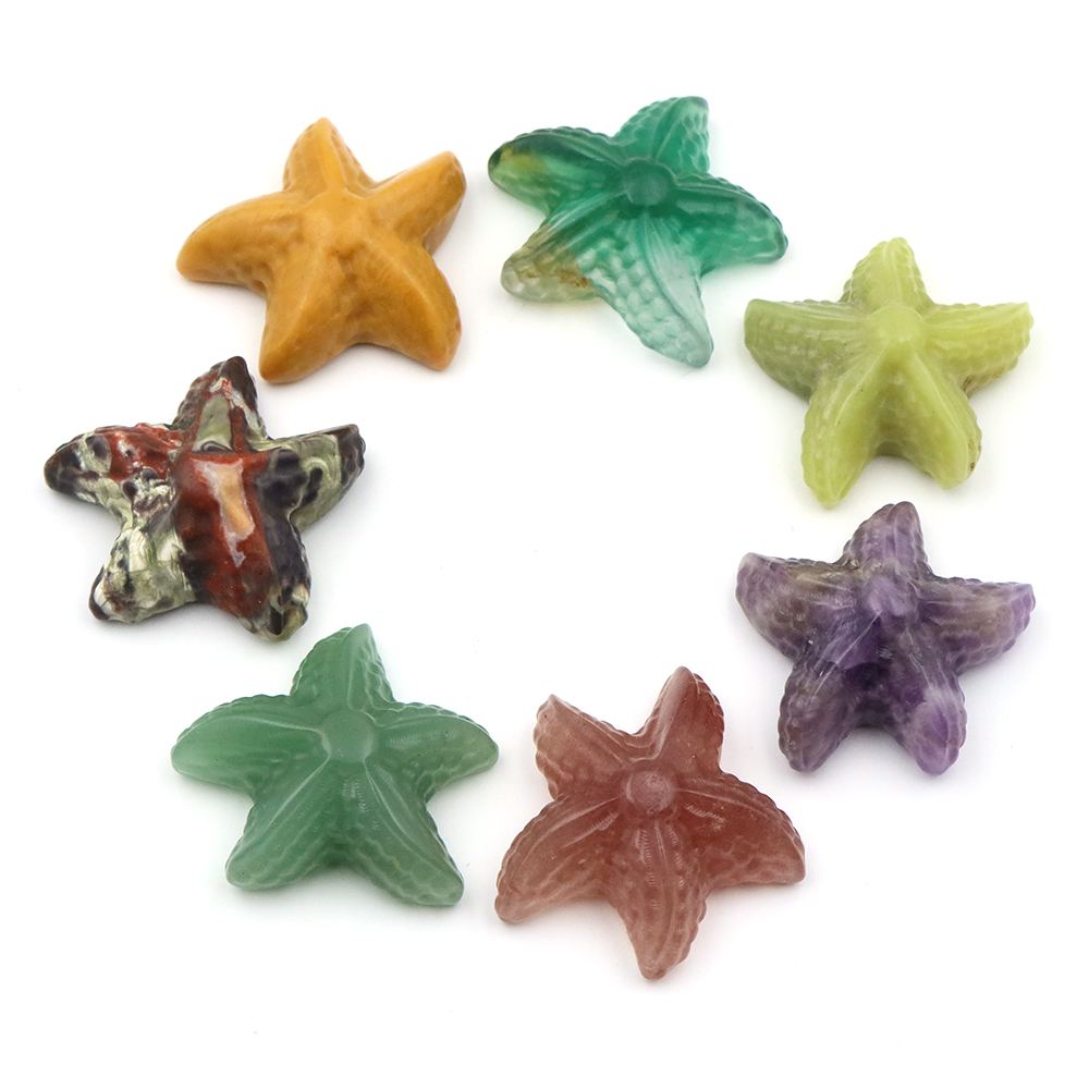 35mm Zeester Vorm Standbeeld Z - Marine Aquarium recensie en prijs