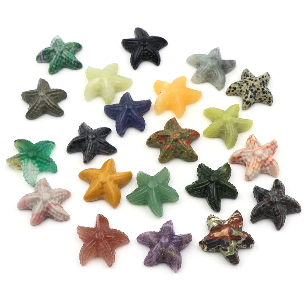 35mm Zeester Vorm Standbeeld Z - Marine Aquarium recensie en prijs