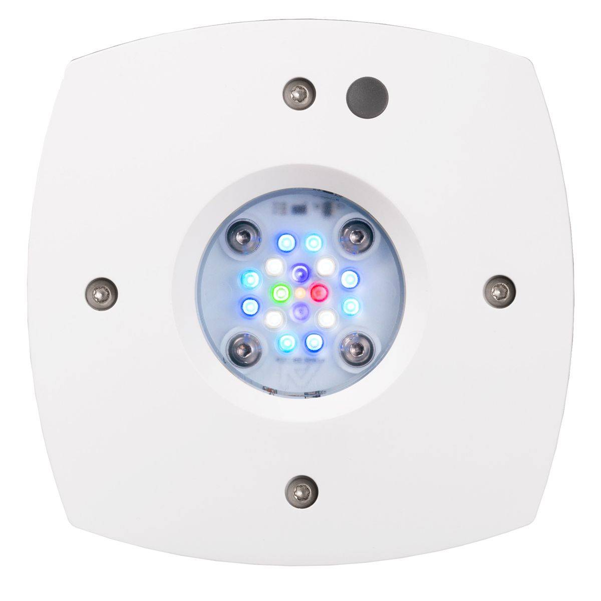 Prime 16 HD LED-reeflicht, ori - Reef Lighting recensie en prijs