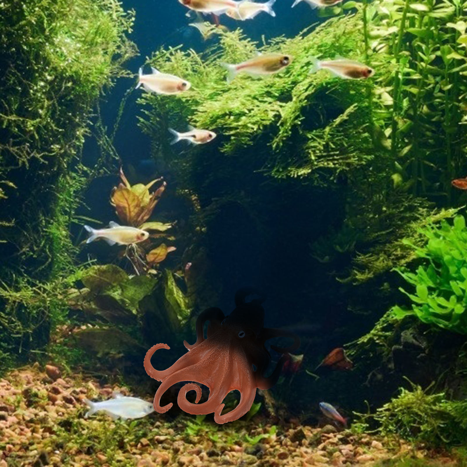 1 stuks Octopus Simulatie Zee  - Ocean Aquarium recensie en prijs