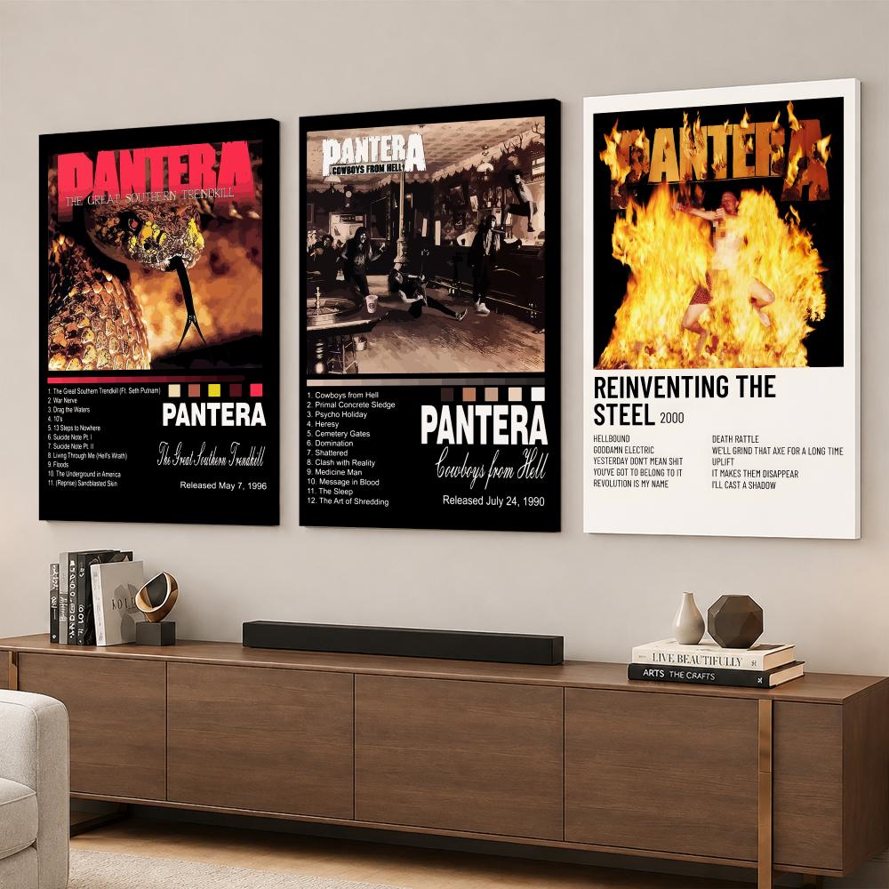 Rockband Muziekalbum P-Pantera - Live Rock recensie en prijs
